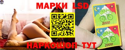 PSILOCYBIN Берёзовский