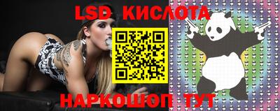 PSILOCYBIN Берёзовский