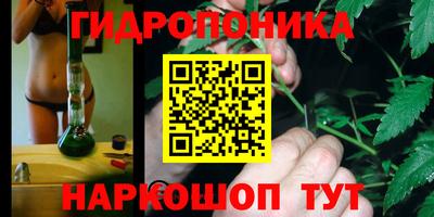 PSILOCYBIN Берёзовский