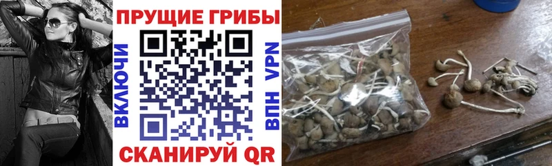 Галлюциногенные грибы мицелий  купить наркотик  Гулькевичи 