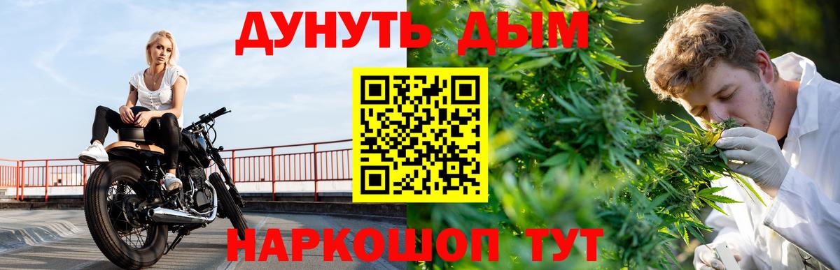 Бошки Шишки конопля Гулькевичи